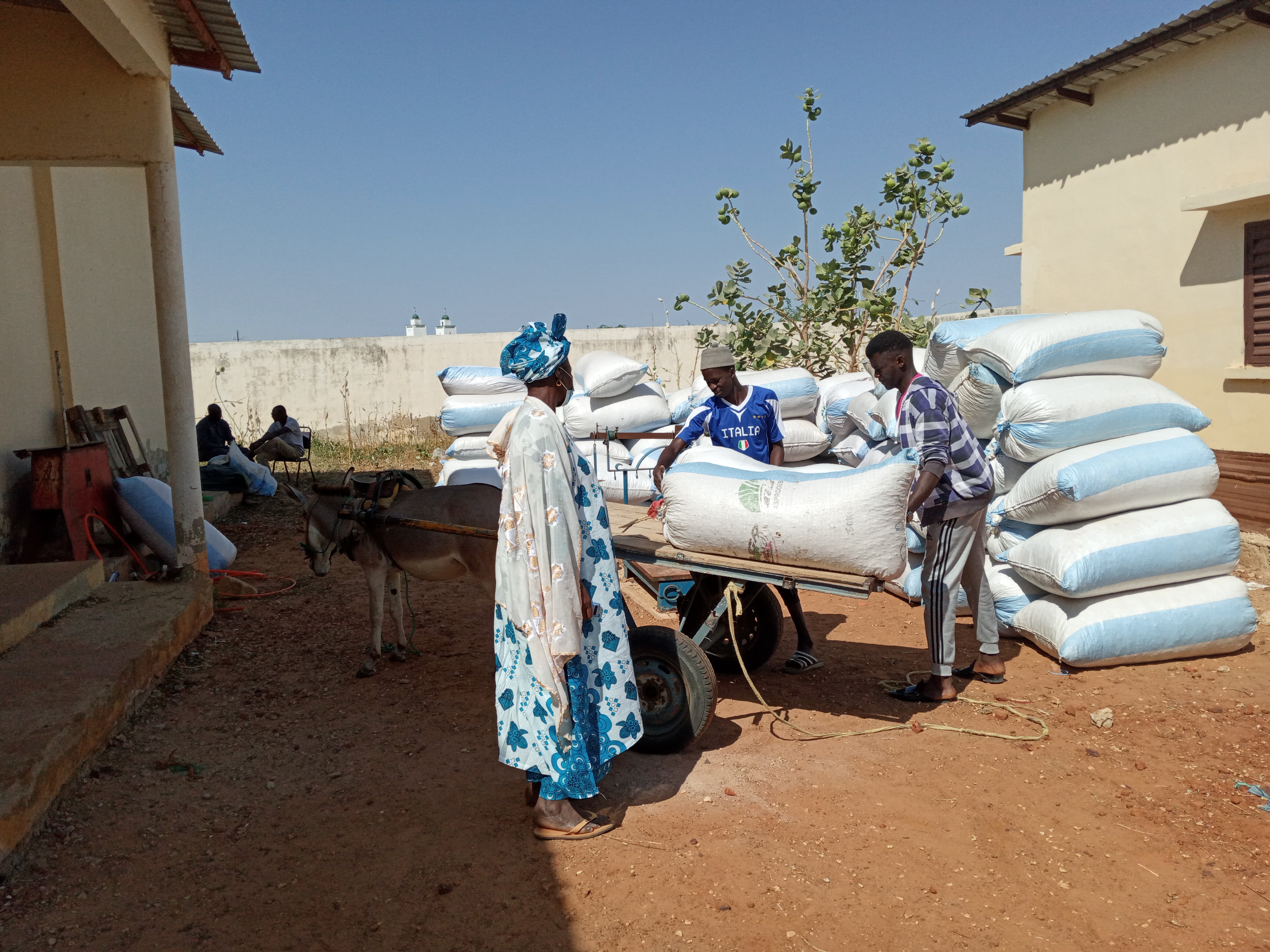 Agriculteurs de la coopérative COOPEDELSI au Sénégal