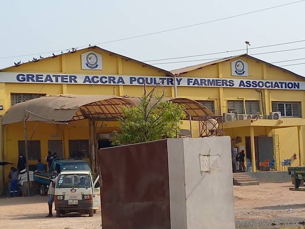 Greater Accra Poultry Farmers Association in Ghana