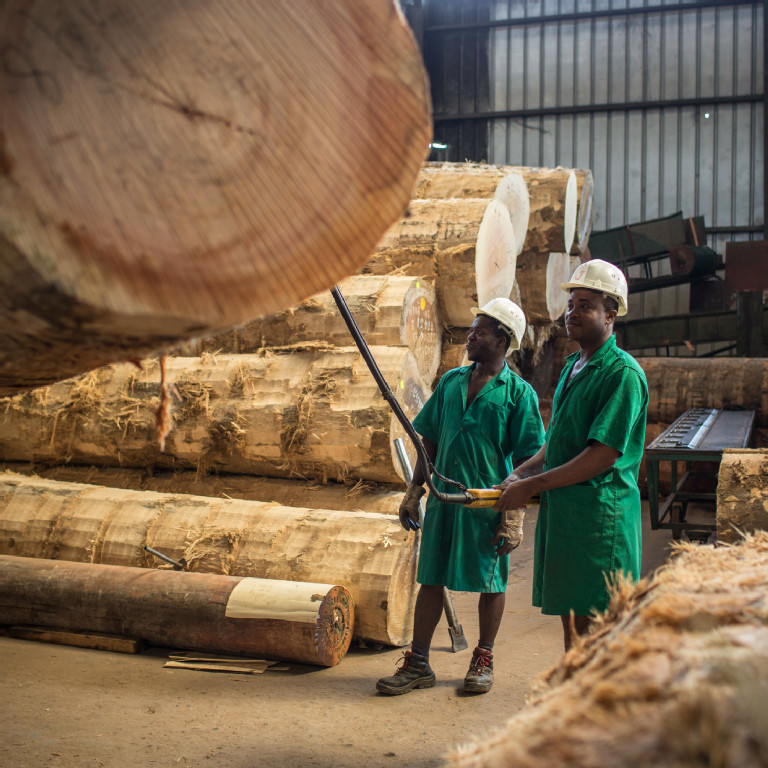 Employees working with materials