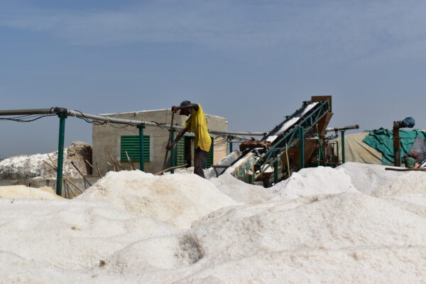 Erstes Geschäftsforum der Salzindustrie im Senegal