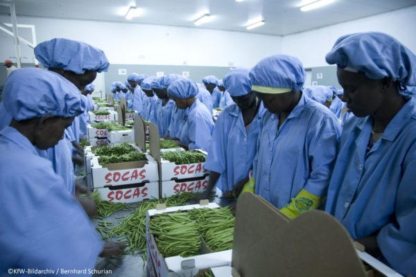 Sénégal : Lancement officiel du 1er appel à projets IFE