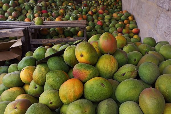 Invest for Jobs gives guidance on EU Organic Regulation